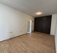 PREDAJ: Rodinný dom po rekonštrukcii /700 m2 pozemok/ Zemianska Olča - Izba v rodinnom dome s podlahou s dreveným dekorom a výraznou čiernou stenou.