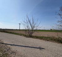 PREDAJ: Rodinný dom po rekonštrukcii /700 m2 pozemok/ Zemianska Olča - Vidiecky výhľad v blízkosti Zemianskej Olče s poľnými cestami a olistenými stromami.