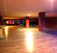 Veľký komerčný priestor 292 m2 priamo v centre mesta - Priestranné obchodné priestory s drevenou podlahou a stĺpmi, vhodné na rôzne účely.