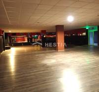 Veľký komerčný priestor 292 m2 priamo v centre mesta - Priestorné obchodné priestory s drevenou podlahou a stropnými svetlami na prenájom.