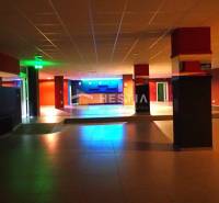 Veľký komerčný priestor 292 m2 priamo v centre mesta - Podnikový priestor s farebným osvetlením, ideálny na obchodné využitie a prenájom.