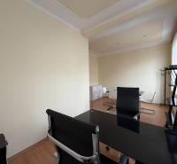 Prenájom kancelárie 33 m2 v centre Piešťan - Svetlé kancelárie s podlahou s dreveným dekorom, elegantný nábytok a prirodzené osvetlenie.