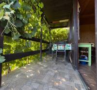 Na predaj: Ovocná záhrada v Leviciach - Terasa so záhradným nábytkom a viničom v Záhradách v Leviciach.