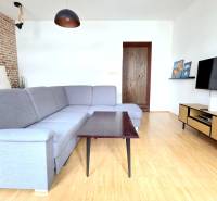 JEDINEČNÝ 2i byt, REKONŠT., 2 X .SAMOST.IZBA, Hviezdoslavovo nám.  - Obývacia izba s pohovkou, tehlovou stenou a podlahou s dreveným dekorom v 2-izbovom byte.