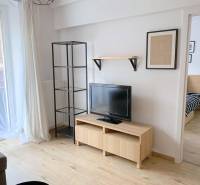 ŠTÝLOVÝ 2i byt, NOVOSTAVBA, BALKÓN, PARKIN, Paričková ulica, NIVY - Obývacia izba na ulici Páričkova, 2-izbový byt s dreveným nábytkom a TV.