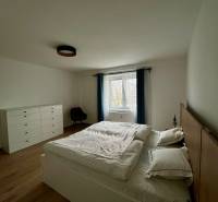 PRENÁJOM - 3-izbový krásny kompletne zrekonštruovaný byt - Mostná - Spálňa v 3-izbovom byte s podlahou s dreveným dekorom a štýlovým svetlom.