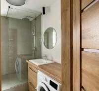 PRENÁJOM - 3-izbový krásny kompletne zrekonštruovaný byt - Mostná - Kúpeľňa so sprchovým kútom, umývadlom a práčkou v 3-izbovom byte.