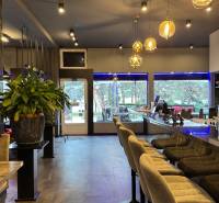 ODSTÚPENIE Gastro prevádzky na Námestí v Nitre - Gastro priestory s barom a čalúnenými stoličkami, drevený dekor, príjemná atmosféra.