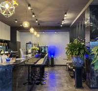 ODSTÚPENIE Gastro prevádzky na Námestí v Nitre - Gastro priestory s dlhým barovým pultom, poličkami s nápojmi a zelenými rastlinami.