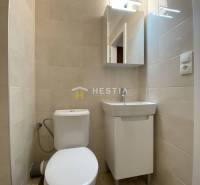 NA PRENÁJOM zrekonštruovaný 1-IZB.BYT, Štefánikova ul., Senica - Kúpeľňa v 1-izbovom byte s toaletou, umývadlom a zrkadlom. Podlaha s dreveným dekorom.