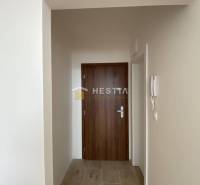 NA PRENÁJOM zrekonštruovaný 1-IZB.BYT, Štefánikova ul., Senica - Vstupná chodba v 1-izbovom byte s podlahou s dreveným dekorom a tmavými dverami.