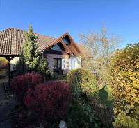 Zaujímavý rodinný dom s veľkým pozemkom, krásnou záhradou a bohatým pr - Rodinný dom v Lietave s upravenou záhradou, hnedou strechou a bohatou výsadbou.