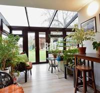 Zaujímavý rodinný dom s veľkým pozemkom, krásnou záhradou a bohatým pr - Svetlá zimná záhrada v rodinnom dome so zeleňou a presklenou strechou.