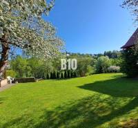 Zaujímavý rodinný dom s veľkým pozemkom, krásnou záhradou a bohatým pr - Záhrada v okolí rodinného domu v Lietave s trávnikom a ovocnými stromami.