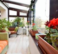 Zaujímavý rodinný dom s veľkým pozemkom, krásnou záhradou a bohatým pr - Zimná záhrada rodinného domu s množstvom rastlín a podlahou s dreveným dekorom.