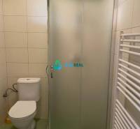 Apartmánový dom na predaj blízko termálneho kúpaliska - Kúpeľňa so sprchou, toaletou a rebríkovým radiátorom, vhodná do obchodných priestorov na ulici neuvedené.