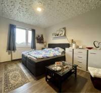 VKUSNÝ 4-IZBOVÝ RODINNÝ DOM S GARÁŽOU NA PREDAJ V OBCI TOPOĽNÍKY - Spálňa v Rodinnom dome s podlahou s dreveným dekorom a dekoráciou na nábytku.