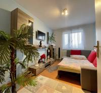 VKUSNÝ 4-IZBOVÝ RODINNÝ DOM S GARÁŽOU NA PREDAJ V OBCI TOPOĽNÍKY - Obývačka v rodinnom dome s nábytkom z dreveného dekoru a dekoratívnymi rastlinami.