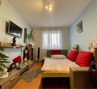 VKUSNÝ 4-IZBOVÝ RODINNÝ DOM S GARÁŽOU NA PREDAJ V OBCI TOPOĽNÍKY - Izba v rodinnom dome s gaučom, televízorom, rastlinami a podlahou s dreveným dekorom.