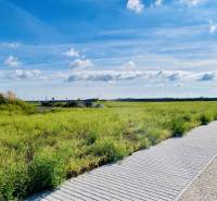 DUNAJSKÁ STREDA – SLNEČNÉ STAVEBNÉ POZEMKY NA PREDAJ V PROJEKTE VINICA - Pozemky - bývanie v Dunajskej Strede, neuvedená ulica. Súkromné stavebné pozemky s chodníkom.