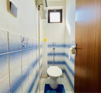 A-W REAL | POSCHODOVÝ DVOJDOM S GARÁŽOU NA PREDAJ V OBCI BÚČ - Toaleta v rodinnom dome s modro-bielymi obkladačkami na stenách.