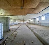 Kostolné Kračany - skladové - prevádzkové priestory na predaj za cenu  - Interiér výrobných priestorov s betónovou podlahou a radom okien.