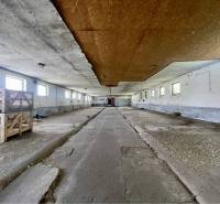 Kostolné Kračany - skladové - prevádzkové priestory na predaj za cenu  - Výrobné priestory s betónovou podlahou, drevenými prepravkami a malými oknami.