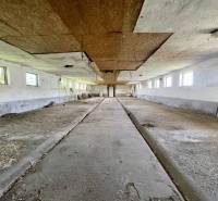 Kostolné Kračany - skladové - prevádzkové priestory na predaj za cenu  - Opustené výrobné priestory s poškodeným stropom a radom okien.
