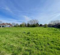 OKOČ – POZEMOK NA PREDAJ V CENTRE DEDINY - Zeleň na pozemku pre bývanie v obci Okoč za slnečného dňa.