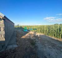 Znížená cena!  Rodinný dom s vnútorným aj vonkajším bazénom na krásne  - Na ulici neuvedene, vedľa rodinného domu vedie poľná cesta pri kukuričnom poli.