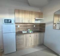 Apartmány na prenájom. - Kuchyňa obsahuje drevenú linku, drez, chladničku, mikrovlnku a digestor.
