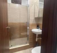 Apartmány na prenájom. - Malá kúpeľňa so sprchovým kútom, umývadlom a toaletou, obkladačky a drevené dvere.