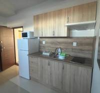 Apartmány na prenájom. - Kuchynská linka so spotrebičmi, drevené skrinky, drez, chladnička a varná doska v interiéri budovy.