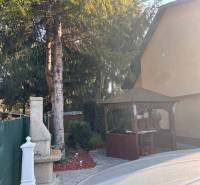 Rodinný  dom na predaj v Gabčíkove - Rodinný dom obklopený stromami, altánkom a kamenným krbom v záhrade.