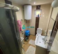 Odstúpenie nájomnej zmluvy - rekreačná chata v obci Bodíky!!! Cena  84 - Na ulici Bodíky je kúpeľňa v chate so sprchovým kútom a umývadlom.