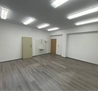 Skvelá ponuka!!! Prenájom nebytového priestoru na podnikateľské účely  - Interiér budovy s podlahou s dreveným dekorom, umývadlom a stropnými svetlami.