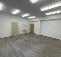 Skvelá ponuka!!! Prenájom nebytového priestoru na podnikateľské účely  - Interiér budovy s bielymi stenami, podlahou s dreveným dekorom a umývadlom.