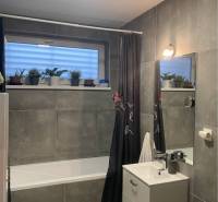 Na predaj: 3-izbový rodinný dom na predaj v obci Lesné Kračany - Kúpeľňa v rodinnom dome s vaňou, umývadlom a rastlinami na parapete.