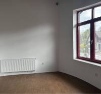 Prenájom nebytového priestoru na podnikateľské účely v CENTRE Dunajske - Interiér budovy s podlahou s dreveným dekorom a výhľadom z okna.