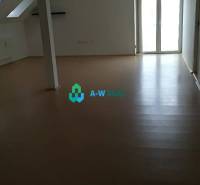 Kancelársky priestor na prenájom v Dunajskej Strede - Prázdna miestnosť, veľké okná, parkety; ideálne pre kancelárie na ulici neuvedené.