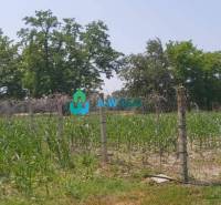 Krásny veľký pozemok v tichej časti obce Ňárad - Na obrázku sú pozemky - bývanie so zelenou vegetáciou a oplotením na ulici neuvedené.