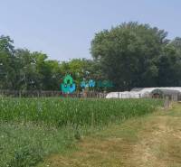 Krásny veľký pozemok v tichej časti obce Ňárad - Záhrada na ulici neuvedené s pozemkom vhodným na bývanie a pestovanie.