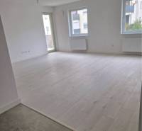 NOVOSTAVBA! Krásny, moderný a priestranný 3-izbový byt s veľkou logiou - Veľká svetlá izba s podlahou s dreveným dekorom v 3-izbovom byte.