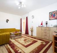 Dvojpodlažný rodinný dom s veľkým pozemkom na predaj v obci Jahodná - Obývacia izba s horčicovou sedačkou, drevenou komodou a televízorom v rodinnom dome.