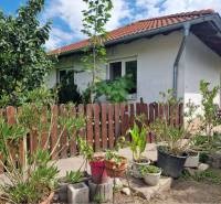 Na predaj 3 izbový rodinný dom s veľkým pozemkom - Rodinný dom v Dolnom Štáli s dreveným plotom a záhradnými rastlinami.