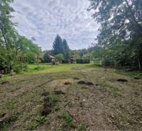 Na predaj rekreačný pozemok pri Dunaji - Gabčíkovo - Pozemok na bývanie v Gabčíkove, obklopený stromami a vidieckymi domami.