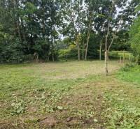 Na predaj rekreačný pozemok pri Dunaji - Gabčíkovo - Oplotený pozemok v Gabčíkove, vhodný na bývanie, s trávnatou plochou a stromami.