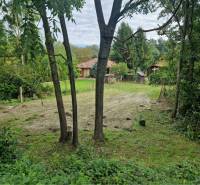 Na predaj rekreačný pozemok pri Dunaji - Gabčíkovo - Zeleň a dom obklopený stromami v Gabčíkove, vhodné na pozemky - bývanie.