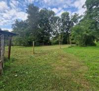 Na predaj rekreačný pozemok pri Dunaji - Gabčíkovo - Zeleň a stromy na pozemku v Gabčíkove vhodnom na bývanie pod modrou oblohou.