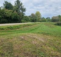 Na predaj rekreačný pozemok pri Dunaji - Gabčíkovo - Prírodné prostredie Gabčíkova, trávnaté pozemky - bývanie, lemované cestou a stromami.